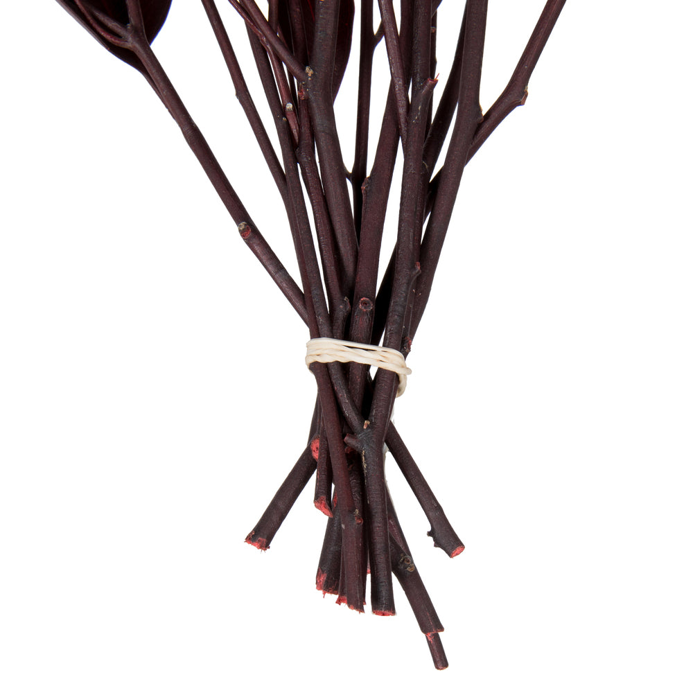 Vickerman 18" Red Weeping Willow Eucalyptus Foliage 5 oz Bundle Preserved