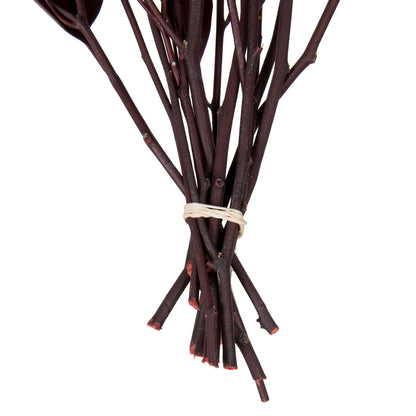 Vickerman 18" Red Weeping Willow Eucalyptus Foliage 5 oz Bundle Preserved