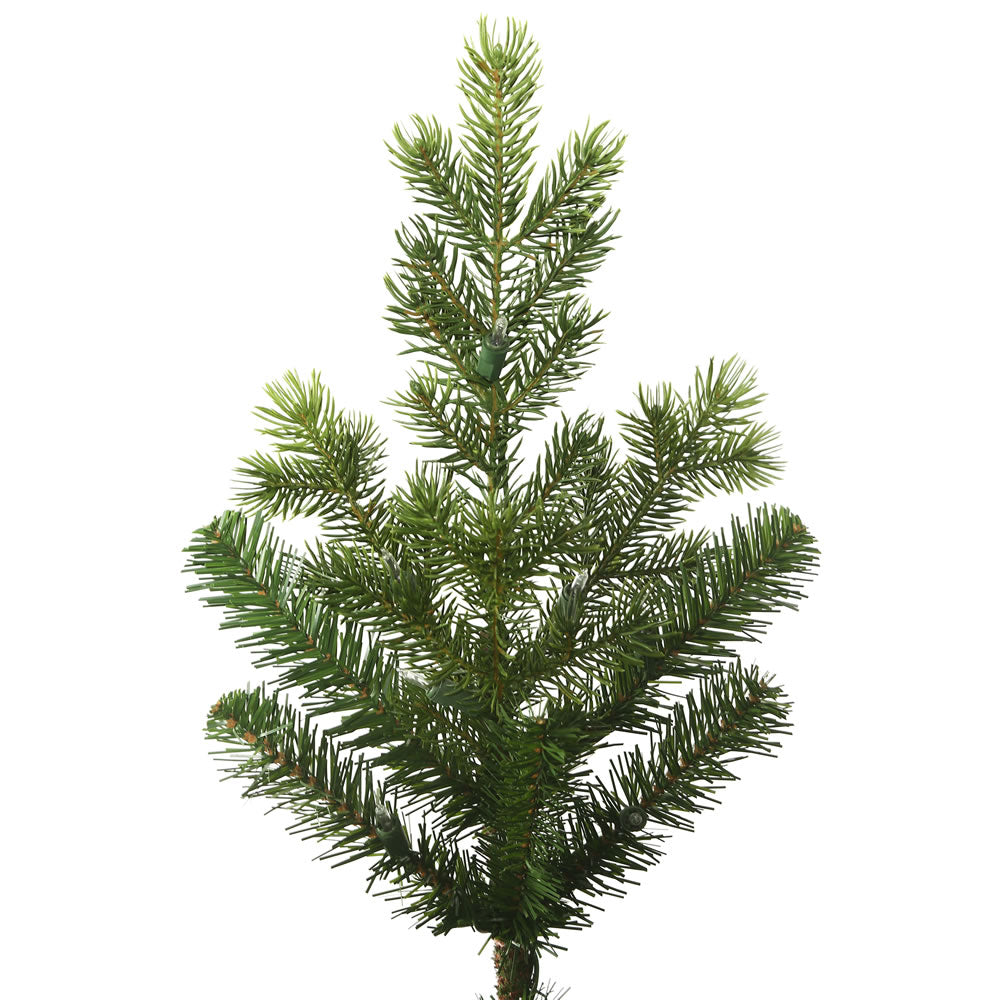 Vickerman 6.5' x 49" Eagle Fraser Fir Full Artificial Christmas Tree Unlit