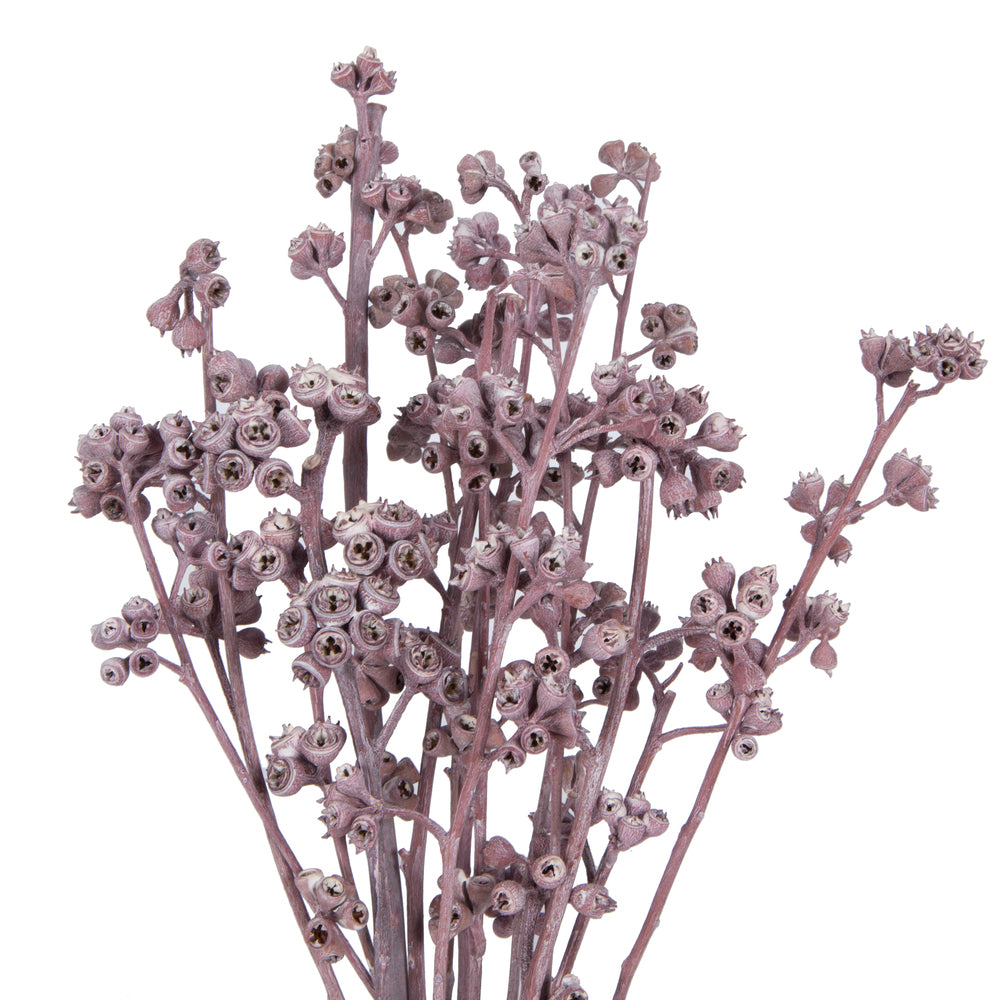 Vickerman Natural Botanicals 13" x 1-3" Red Gum Branch Erika Frosted 14 stems per unit