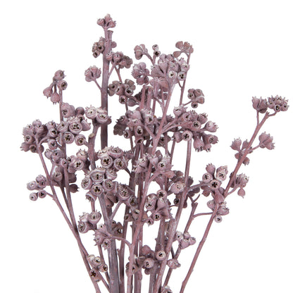 Vickerman Natural Botanicals 13" x 1-3" Red Gum Branch Erika Frosted 14 stems per unit