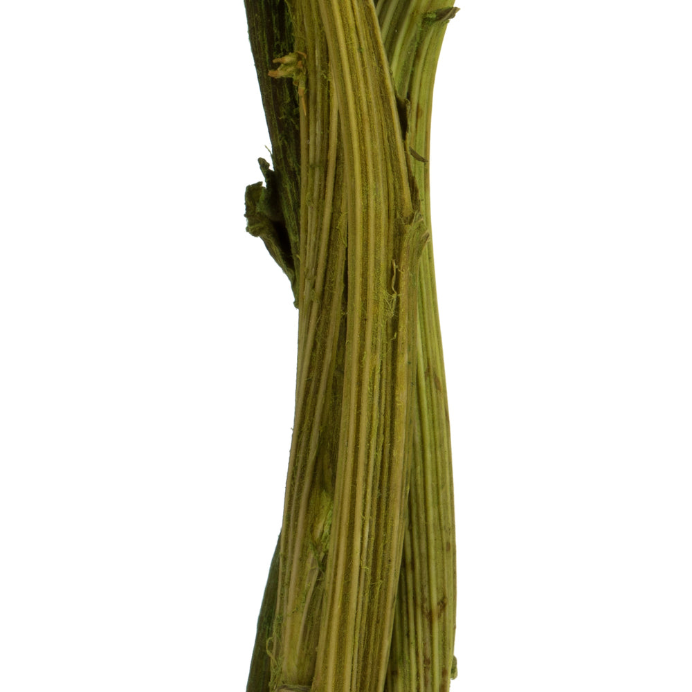 Vickerman 12" Basil Artichoke on a Decorative Natural Stem.  Includes 9 Stems per Pack Dried