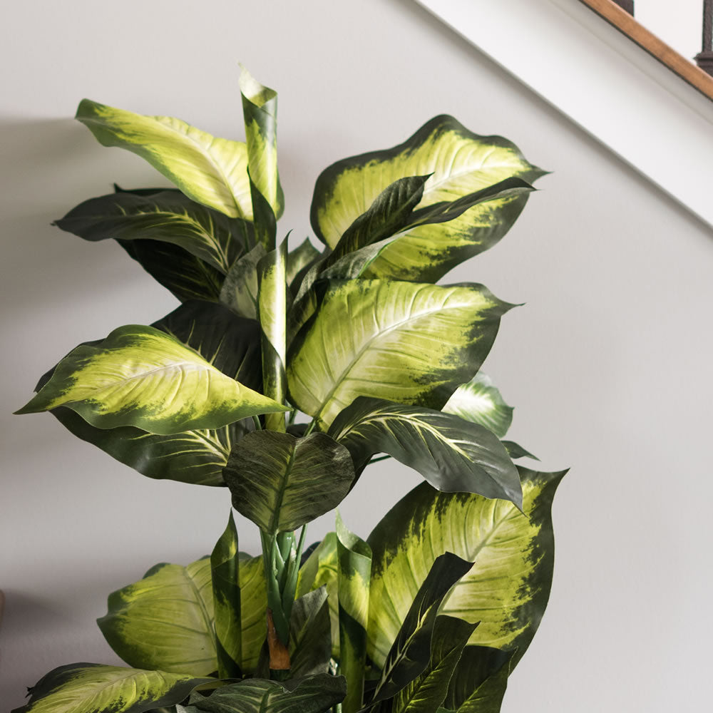Vickerman 40" Artificial Green and White Dieffenbachia.