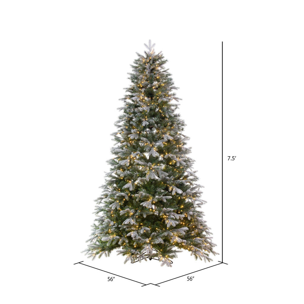 Vickerman 7.5' x 56" Frosted Douglas Fir Artificial Pre-Lit Christmas Tree Warm White 3mm LED Lights.