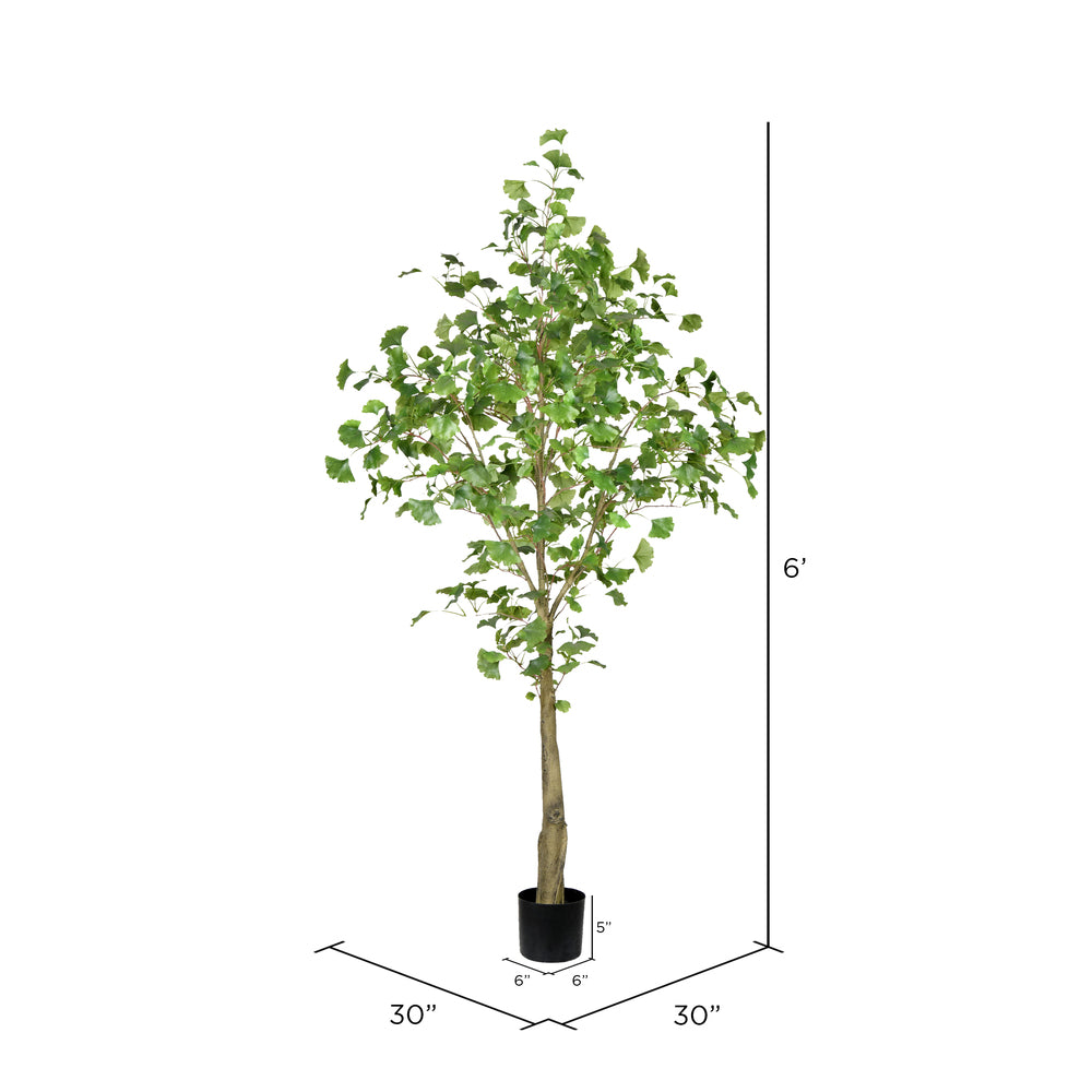 Vickerman 6' Artificial Potted Ginkgo Tree.