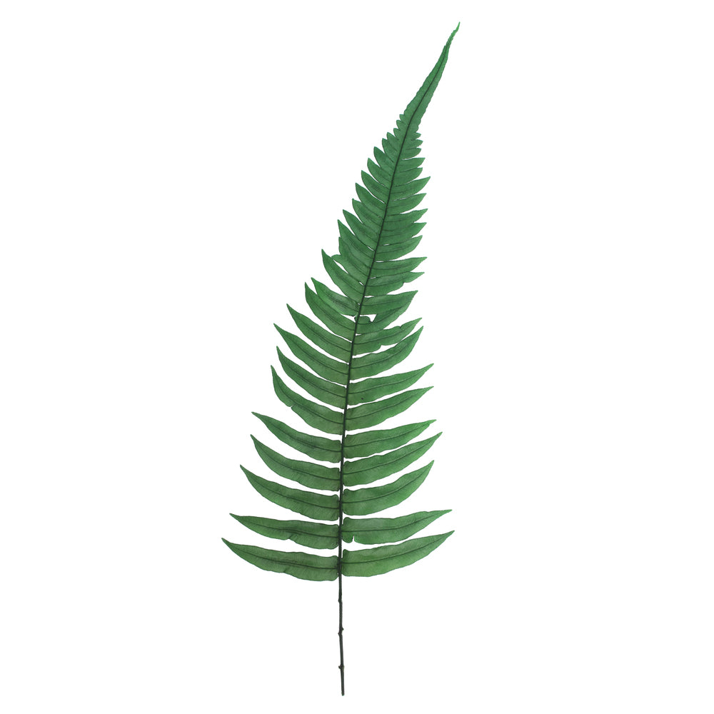 Vickerman 12-13" Green Fern- Rock 10 stems Preserved