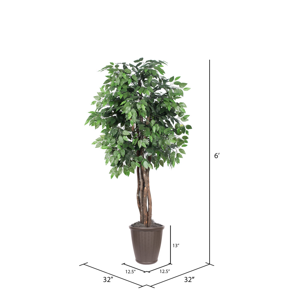 Vickerman 6' Artificial Ficus Executive Tree Brown Round Plastic Container.