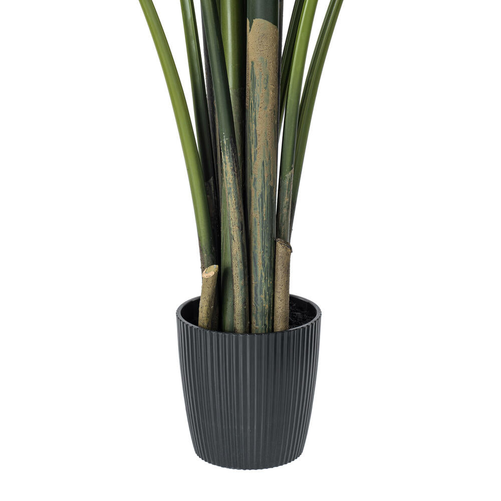 Vickerman 6' Artificial Potted Travellers Palm Tree.