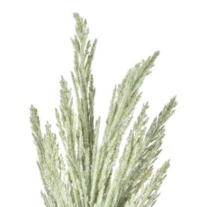 Vickerman 51" Light Green Artificial Reed Spray 2 per bundle.