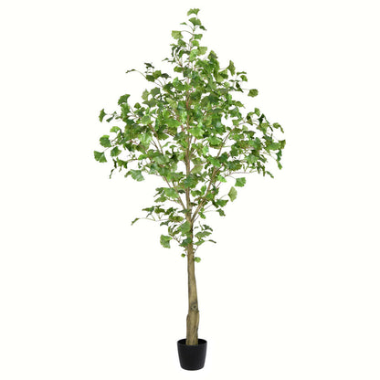 Vickerman 6' Artificial Potted Ginkgo Tree.