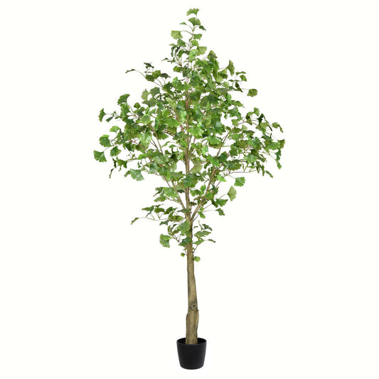 Vickerman 6' Artificial Potted Ginkgo Tree.