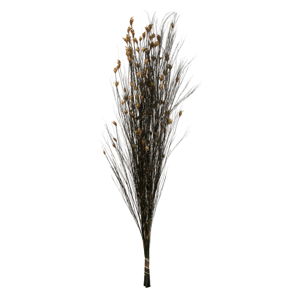 Vickerman 36-40" Natural Bell Grass with Seed Pods 8-9 oz Bundle Preserved