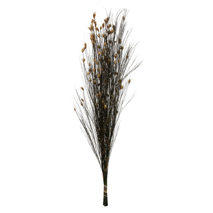 Vickerman 36-40" Natural Bell Grass with Seed Pods 8-9 oz Bundle Preserved