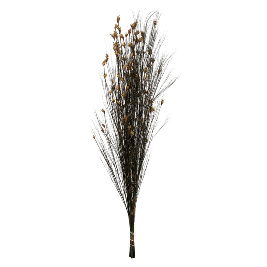 Vickerman 36-40" Natural Bell Grass with Seed Pods 8-9 oz Bundle Preserved