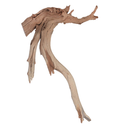Vickerman Ghostwood Manzanita Sand Blasted 18" Dried