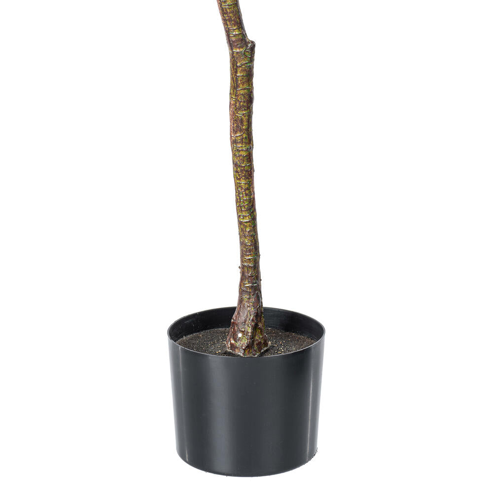 Vickerman 72" Artificial Milan Leaf Tree in Black Planters Pot.