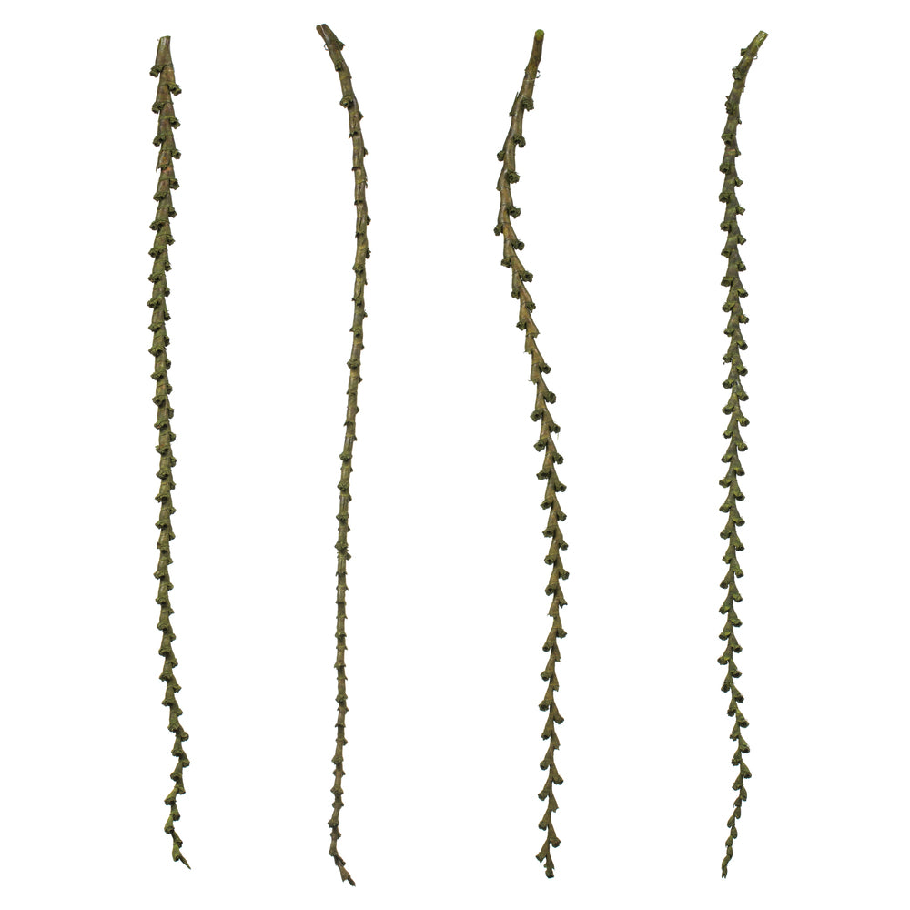 Vickerman 40-48" Basil Ladder Branches - XL straight 7 stems Dried