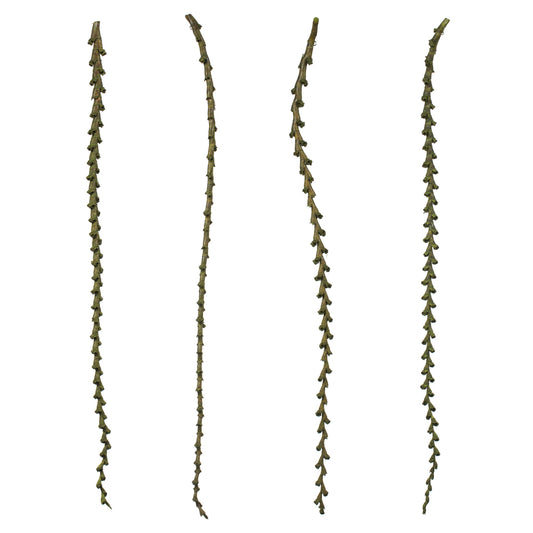 Vickerman 40-48" Basil Ladder Branches - XL straight 7 stems Dried