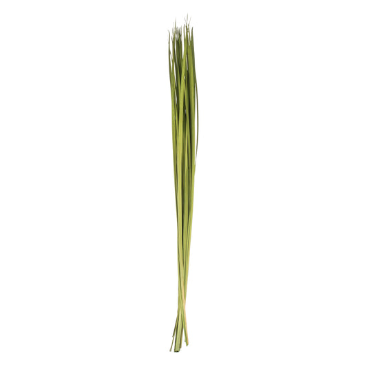 Vickerman 72" Foliage Green Sable Grass XL 16 oz Bundle Dried