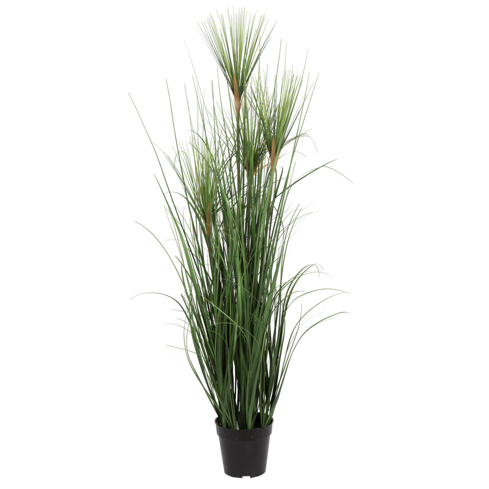 Vickerman 48" Artificial Potted Green Grass.