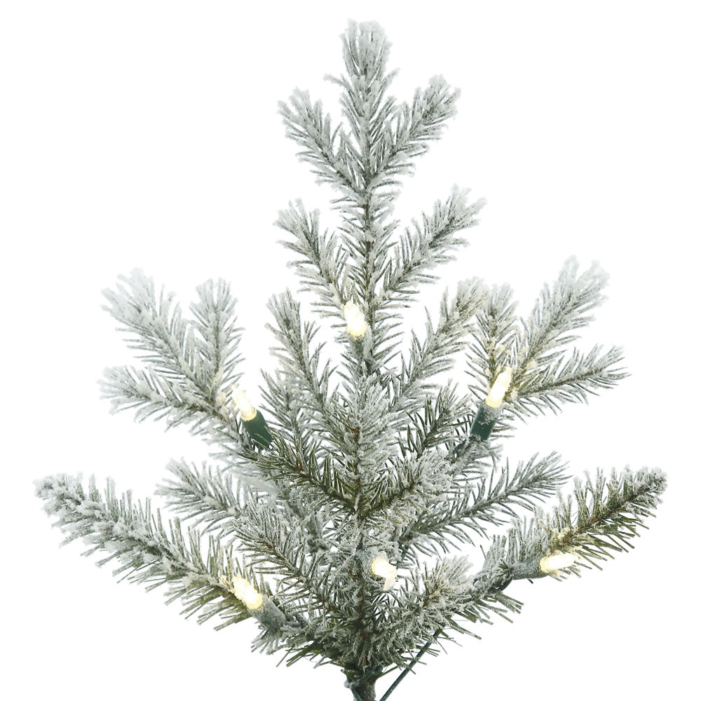 Vickerman 3.5' Frosted Eastern Fraser Fir Artificial Christmas Tree Warm White Dura-lit LED Lights