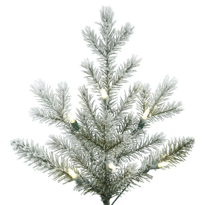 Vickerman 3.5' Frosted Eastern Fraser Fir Artificial Christmas Tree Warm White Dura-lit LED Lights