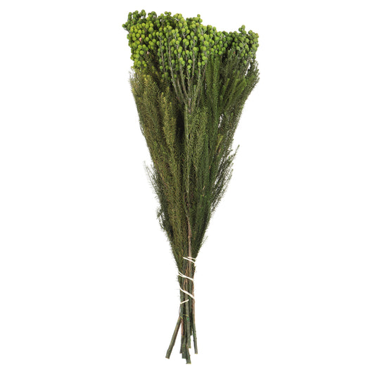 Vickerman 12-15" Green Lanuginosa 5-6 oz Bundle Preserved
