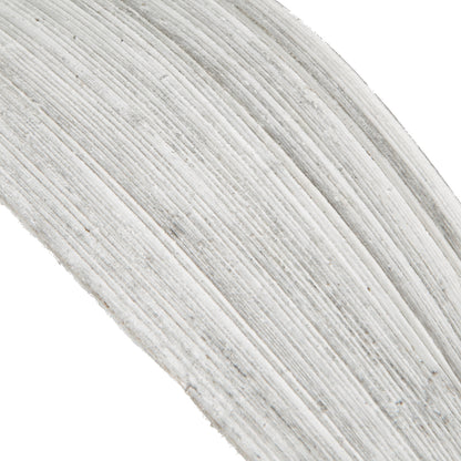 Vickerman PALM PADDLES MINI FROSTED WHITE APPROX 20-25 PIECE BAG (CPD-25) Dried