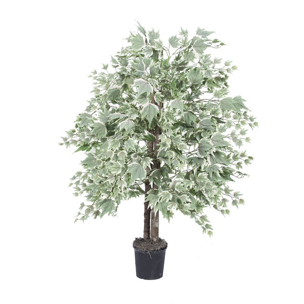 Vickerman 4' Artificial Frosted Maple Bush Black Plastic Pot.
