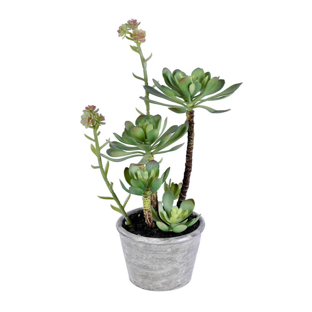 Vickerman 13.5" Artificial Green Succulent Paper Pot.