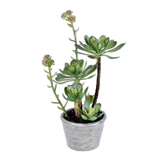 Vickerman 13.5" Artificial Green Succulent Paper Pot.