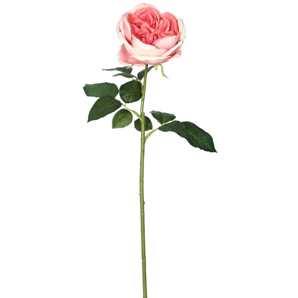 Vickerman 25" Artificial Dark Pink Open Rose Stem 6 per Bag