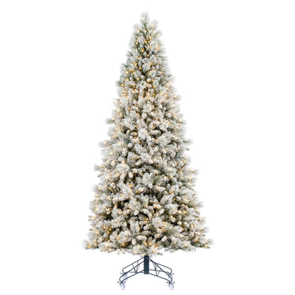 Vickerman 10' x 56" Flocked Jackson Pine Artificial Pre-Lit Christmas Tree Warm White Lights.