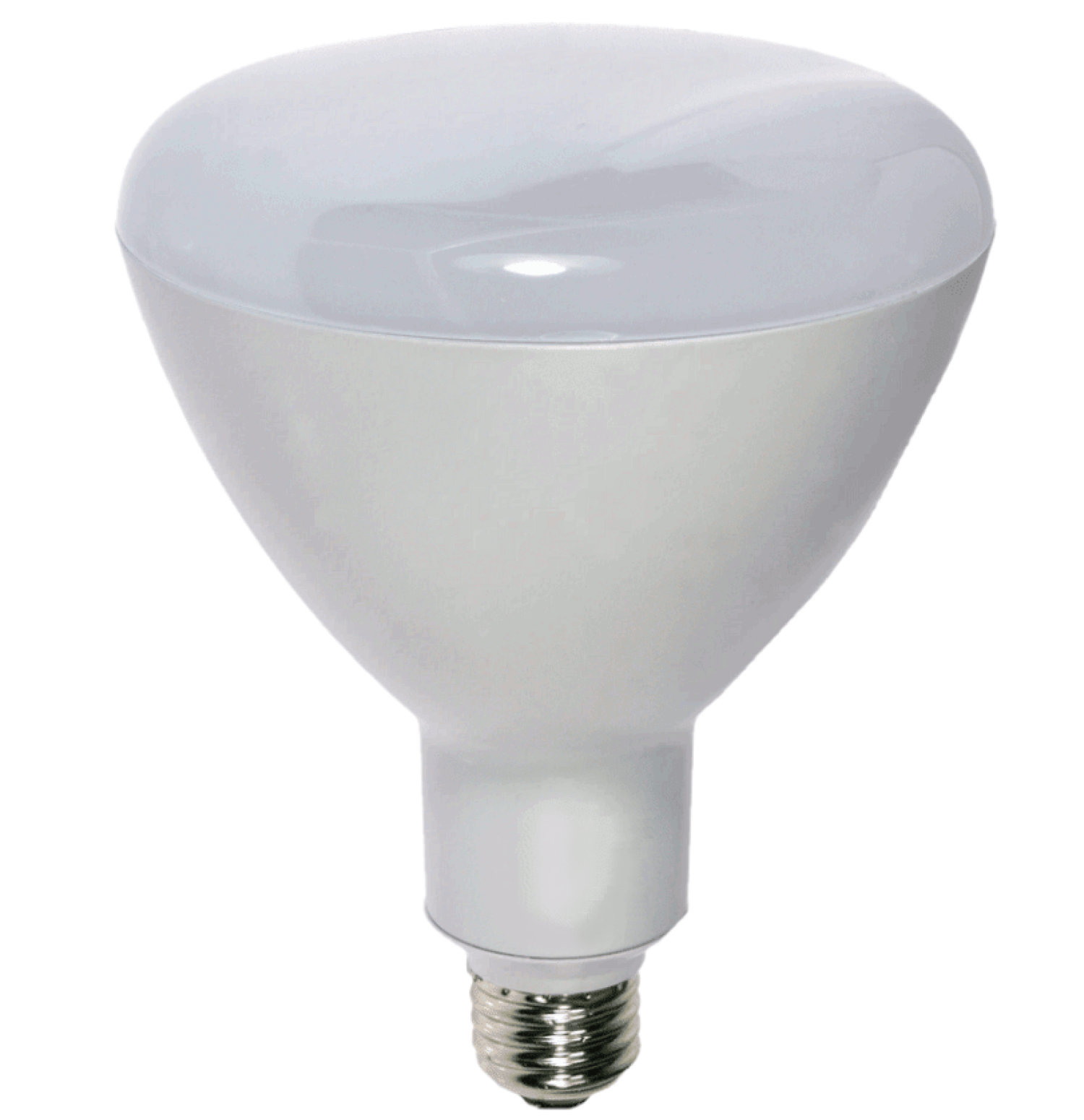 Damar BR40 LED Flood Light Bulb - Thumbnail 3