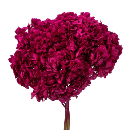 Vickerman 15" Merlot Hydrangea with Multiple Branch Segments. Preserved