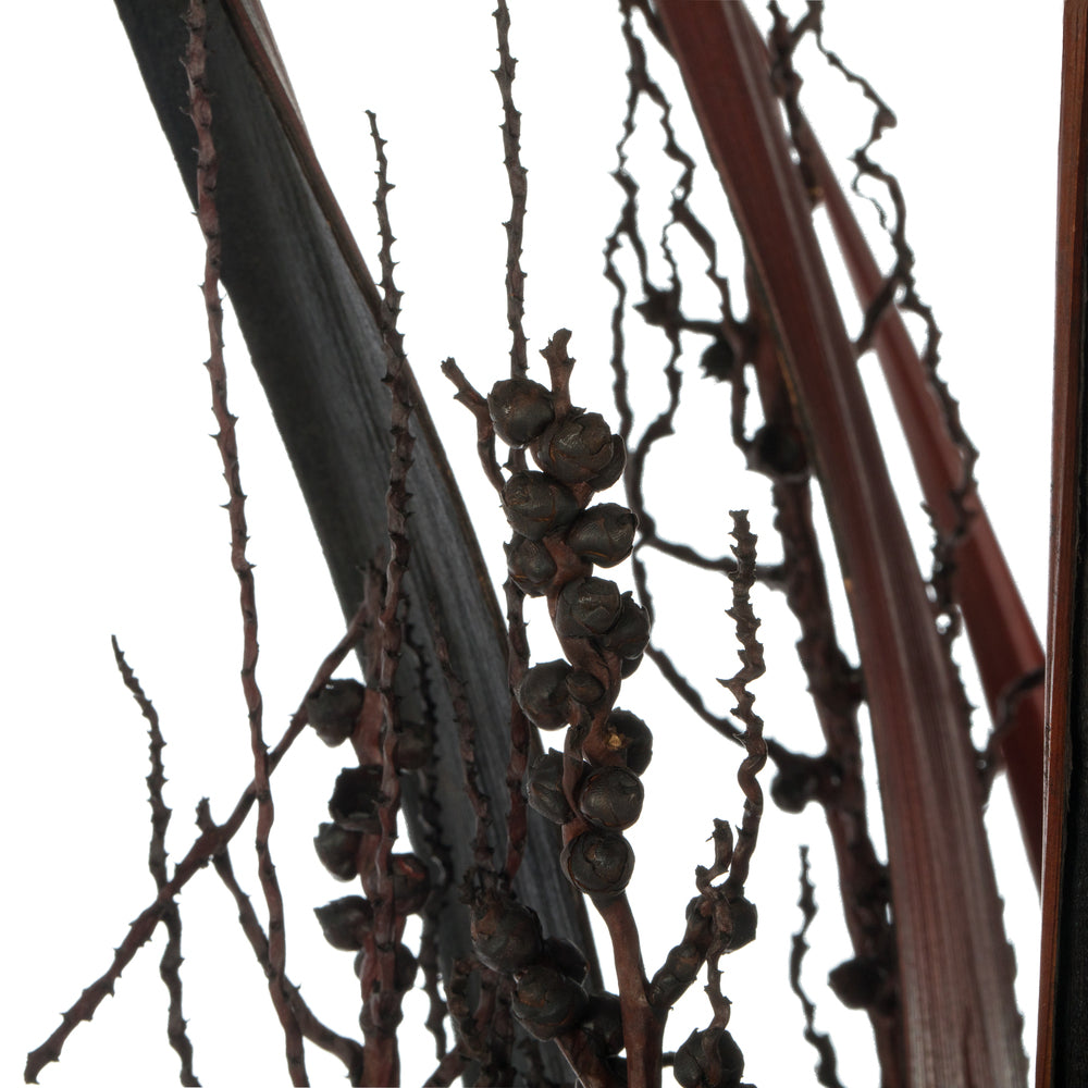 Vickerman 36" Dark Brown Bahia Spears Seeded 9 stems Dried