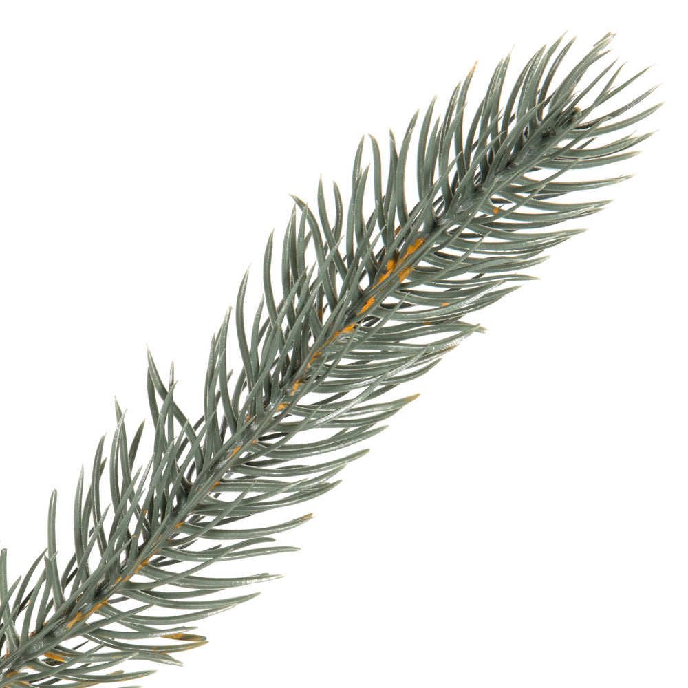 Vickerman 60" Colorado Blue Spruce Artificial Christmas Wreath Unlit