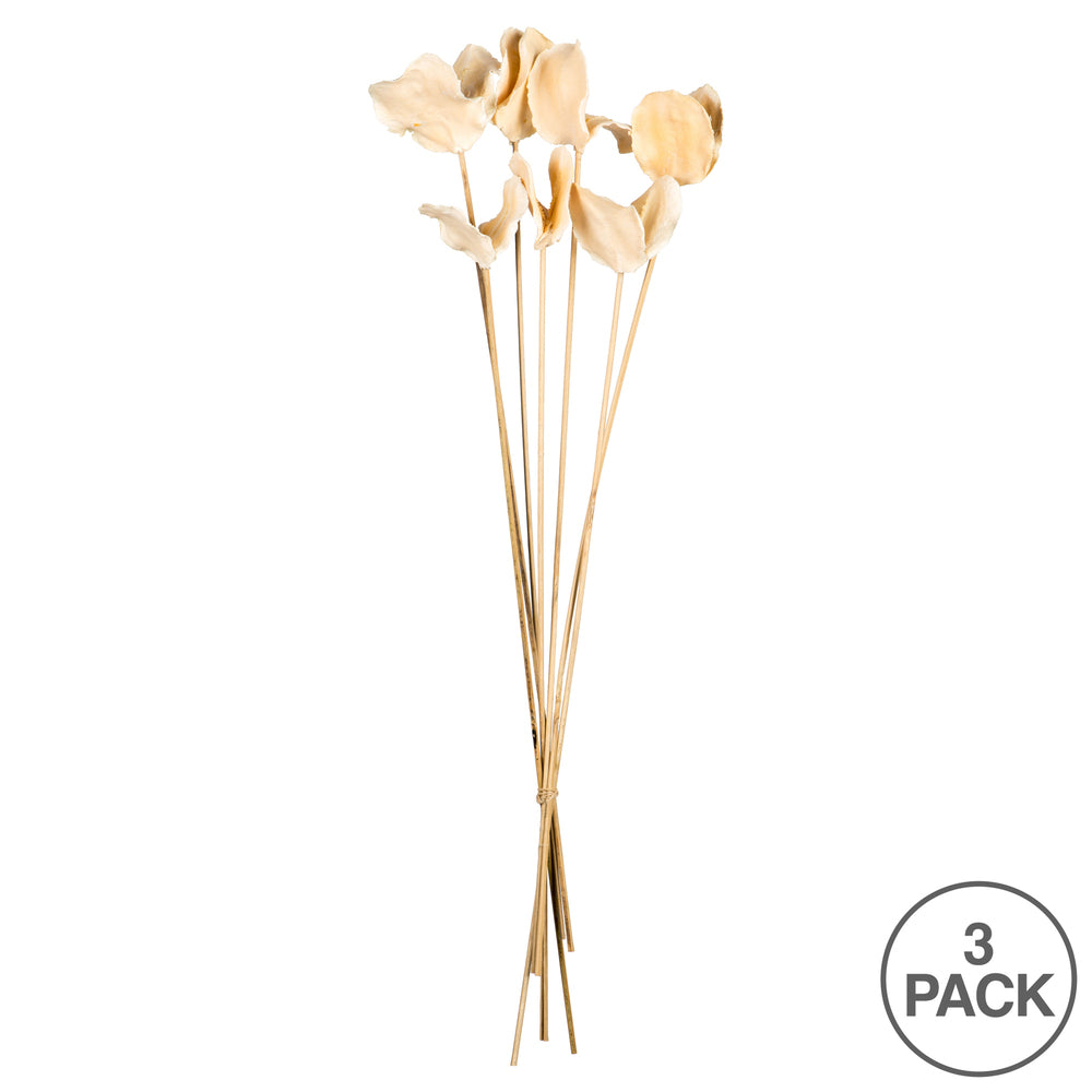 Vickerman 15-17" Bleached Jacaranda Pod on Stem. Includes 21 Stems (3 -7 Stem Bundles) Dried