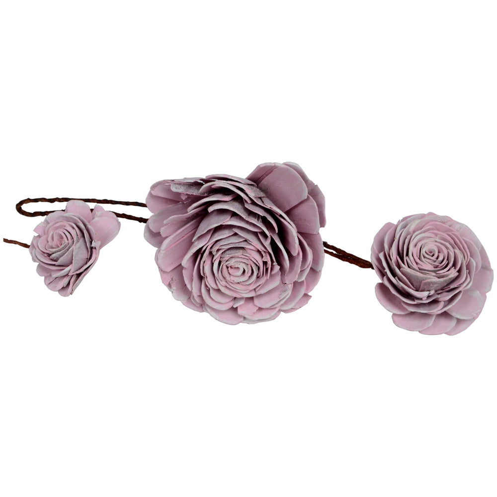 Vickerman 2"- 6" Pink White Sola Rose Assorted 23 per Window Box Dried