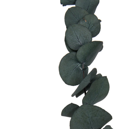 Vickerman Natural Botanicals 18-20" x 9" Eucalyptus Spiral Green 1 lb bundle