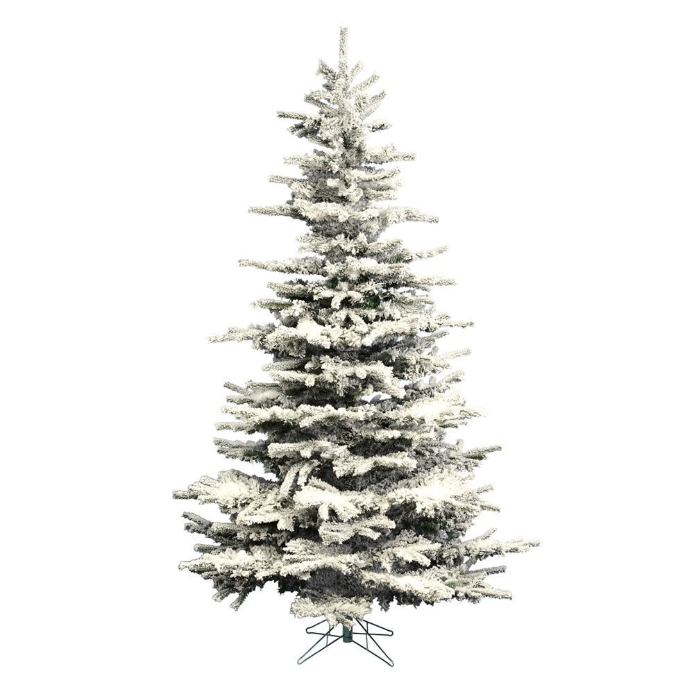 Vickerman 10' Flocked Sierra Fir Artificial Christmas Tree Unlit