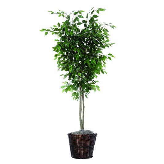 Vickerman 6' Artificial Ficus Deluxe Rattan Basket.