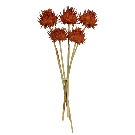 Vickerman 15" Autumn Artichoke Head attached to a Reed Stem Dried