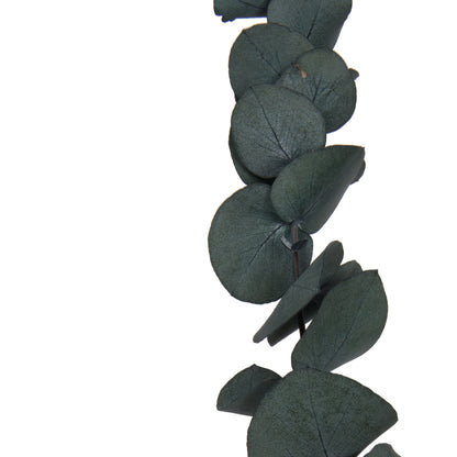 Vickerman Natural Botanicals 18-20" x 9" Eucalyptus Spiral Green 100 grams per bunch