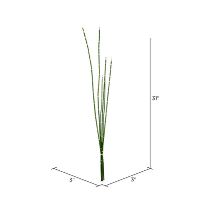 Vickerman 31'' Artificial Green Horsetail Bundle Pack of 2