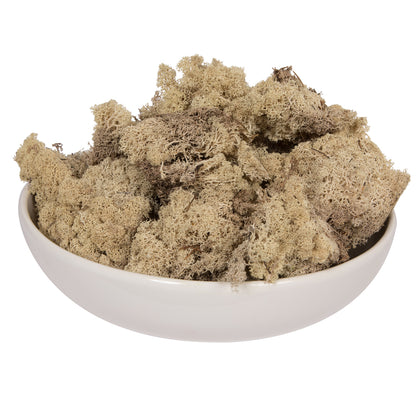 Vickerman Box Natural Moss Reindeer- 9 lb bulk Preserved
