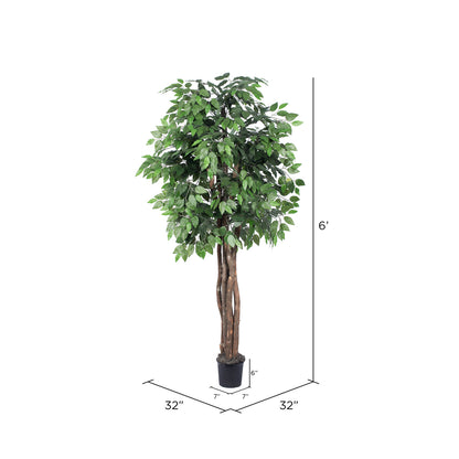 Vickerman 6' Artificial Ficus Executive Black Plastic Pot