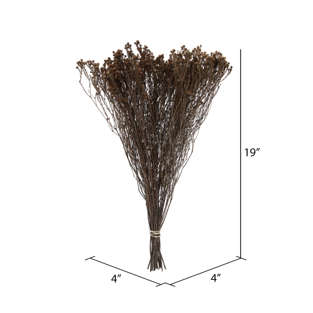 Vickerman Natural Botanicals 19" x 4" Staavia 100 grams per Unit