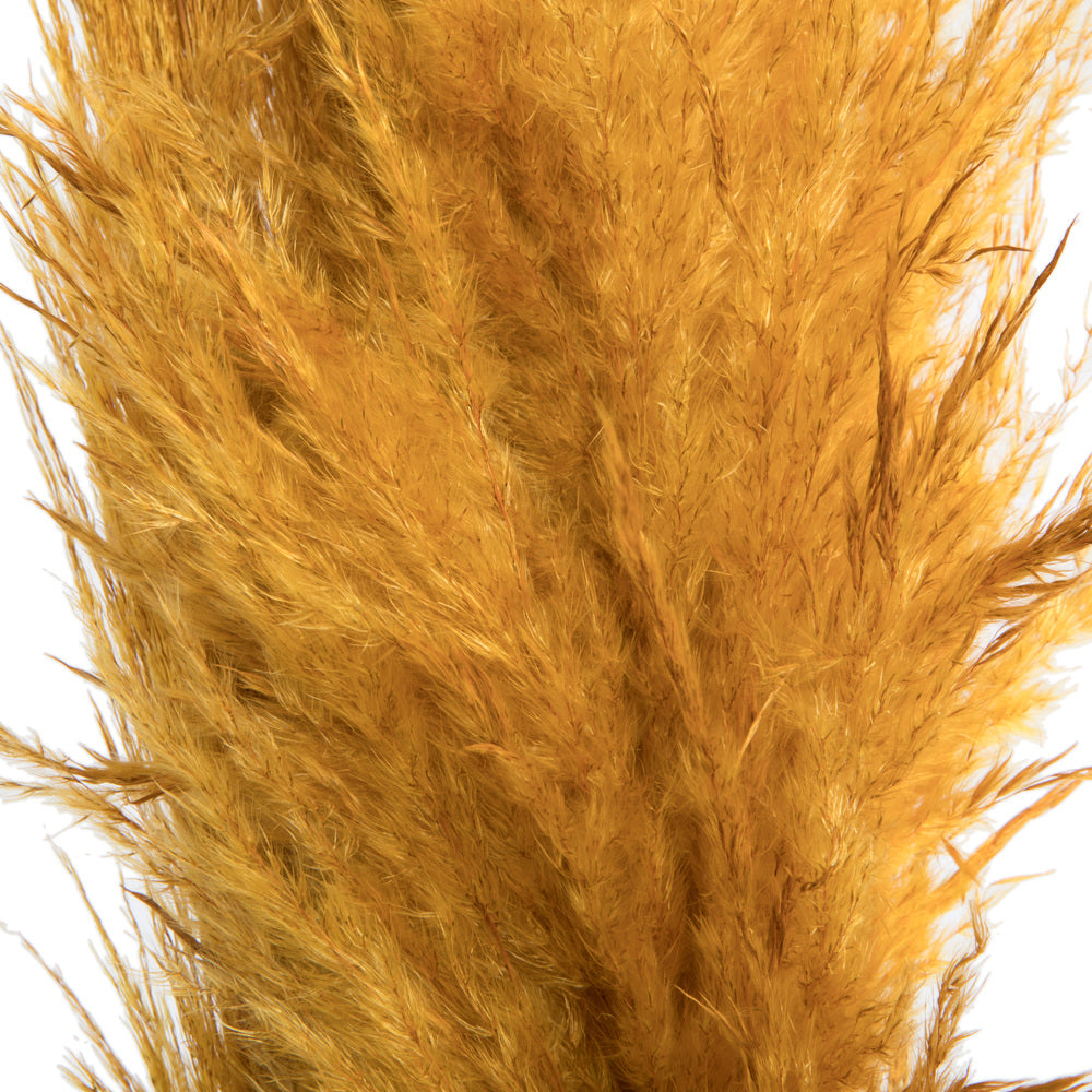 Vickerman 46" Dried Aspen Gold Pampas Grass 6 pack. It includes two stems. Recommended for Indoor.