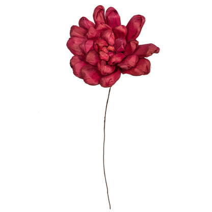 Vickerman Natural Botanicals 6" Bordeaux Maize Dahlia on 18" wire stem- 6 stem/bag. Dried and preserved.